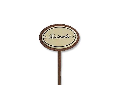 Kräuterstecker Koriander mit Erdspieß