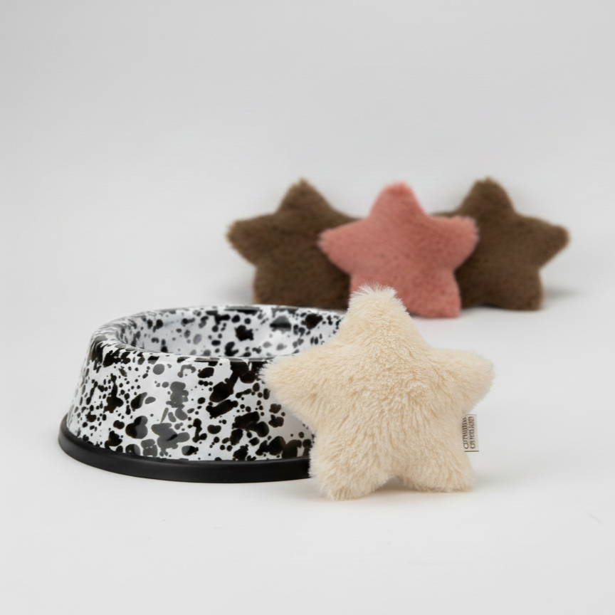 Katzenglück – Napf & Minze Duo Stern schwarz/ weiß 